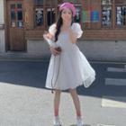 Short-sleeve High-waist Mesh Dress