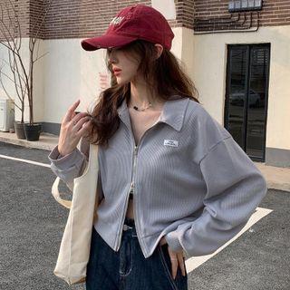 Lapel Zip Up Long-sleeve Jacket