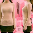 Turtle-neck Wool Blend Sheer Top