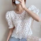 Crochet Puff-sleeve Cropped Top