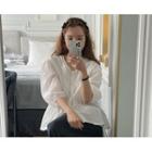 V-neck Pintuck Lace-trim Blouse One Size