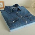 Denim Blouse