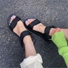 Buckled Velcro Sandals