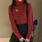 Cropped Heart Cutout Turtleneck Sweater / Mini A-line Skirt