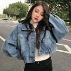 Cropped Buttoned Denim Jacket / A-line Denim Skirt