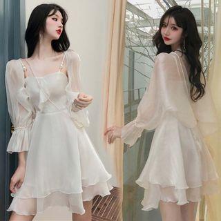 Mock Two-piece Long-sleeve A-line Mesh Dress