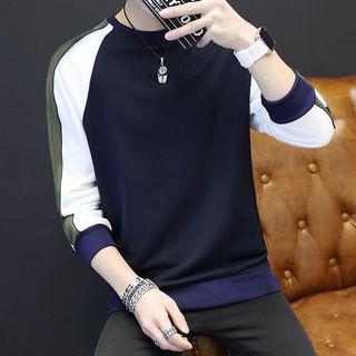 Panel Raglan Sweatshirt