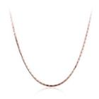 Fashion Simple Plated Rose Gold Snake Necklace Rose Gold - One Size