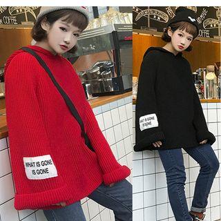 Applique Long Hooded Sweater