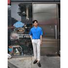 Linen Blend Polo Shirt In 13 Colors