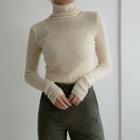 High-neck Sheer Rib-knit Top