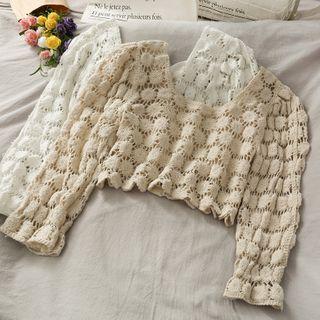 Eyelet Sheer Crop Knit Top