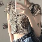 Leopard Cropped T-shirt As Shown In Figure - One Size