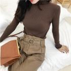 Plain Turtle-neck Slim-fit Top