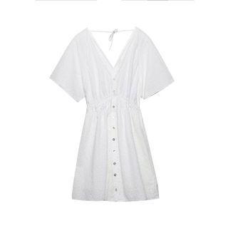Short-sleeve V-neck Embroidered Mini A-line Dress