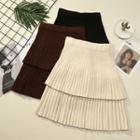 Layered Pleated Knit Skirt