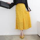 Textured Chiffon Long Skirt