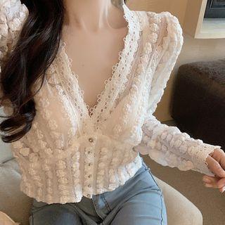 V-neck Cropped Lace Blouse