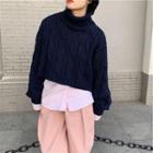 Turtleneck Cable Cropped Sweater