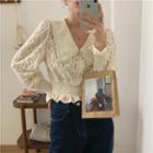 Peter Pan Collar Lace Cropped Blouse