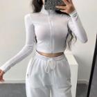 Plain Mock-neck Long-sleeve Slim-fit Crop Top