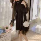 Sheer Long-sleeve A-line Dress