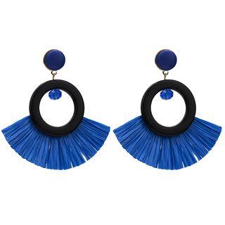 Hoop Fringed Dangle Earring