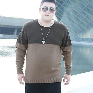 Plus Size Color Block Sweater