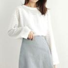 Long-sleeve Perforated Lace Top
