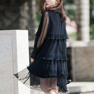 Dotted Mesh Long Sleeve Dress
