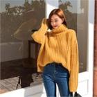 Turtle-neck Loose-fit Ribbed Sweater