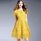Short Sleeve A-line Lace Dress
