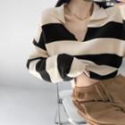 Striped Loose-fit Cropped Polo Top