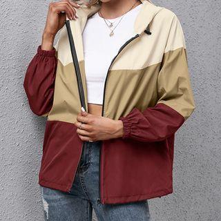 Color Panel Zipped Jacket