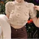Short-sleeve Flower Applique Mohair Knit Top White - One Size