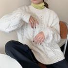 Cable Knit Sweater / Long-sleeve Knit Top