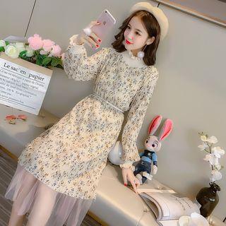 Mesh Panel Floral Long-sleeve A-line Dress