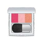 Rmk - Color Performance Cheeks (#02 Red Coral) 1pc