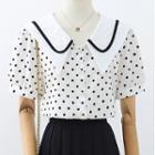 Short-sleeve Wide Collar Dotted Blouse