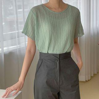 Sheer Pleated Crop T-shirt