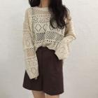 Crochet Lace Long-sleeve Top