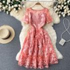 Round-neck Embroidered Lace Dress