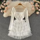 Square-neck Plain Long-sleeve Mesh Dress