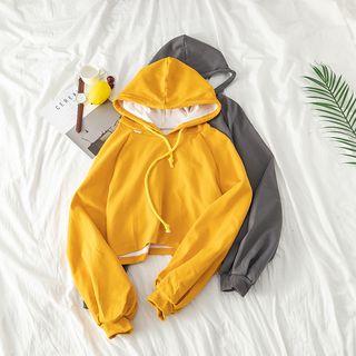 Plain Hooded Cropped Sweatshirt