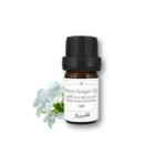Aster Aroma - 100% Pure Absolute Oil White Ginger Lily Hedychium Coronarium 5ml