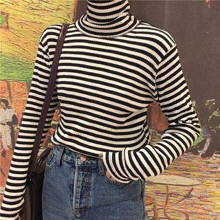 Striped Turtle-neck Long-sleeve Slim-fit Top