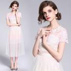 Set: Lace Short-sleeve Dress + Midi Mesh Skirt