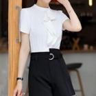 Short-sleeve Blouse / Shorts / Slim-fit Dress Pants / Mini Pencil Skirt / Set