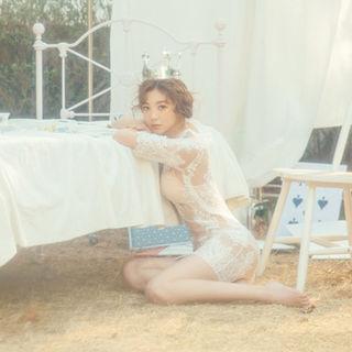 Elbow-sleeve Transparent Lace Dress