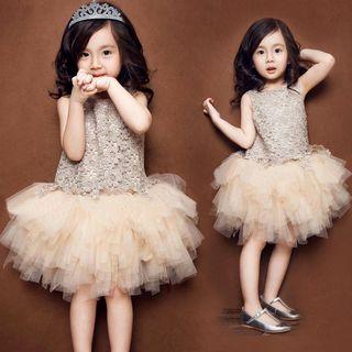 Sleeveless Lace Panel Tulle Dress